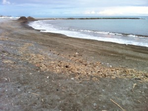 spiaggia 2